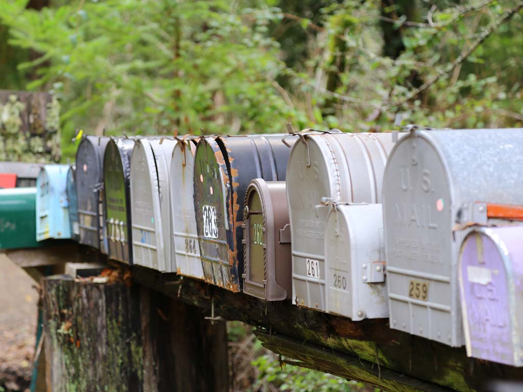 NEWSLETTER | Stella Pederzoli Blog